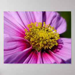 Póster personalizar Personalizar O Destino Do Destino