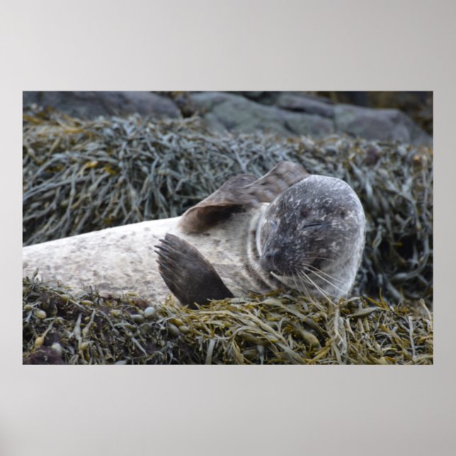 Poster Personalizar produto (Frente)