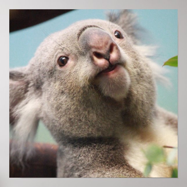 Poster Personalizar produto (Frente)