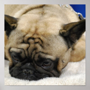 Poster Personalizar produto