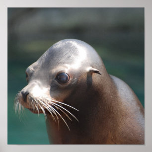 Póster Personalizar produto