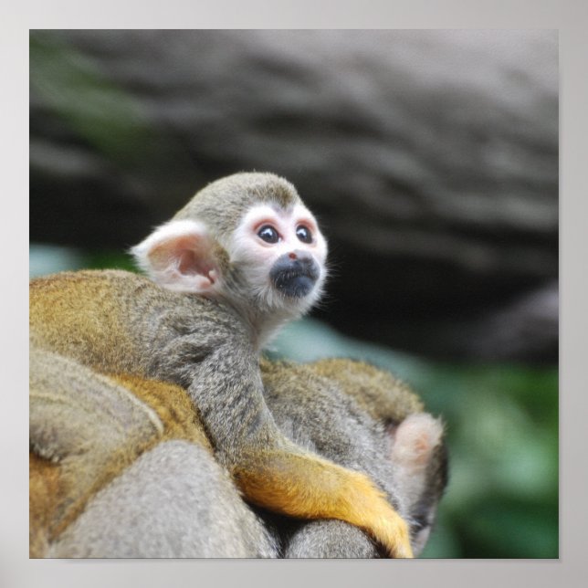 Poster Personalizar produto (Frente)