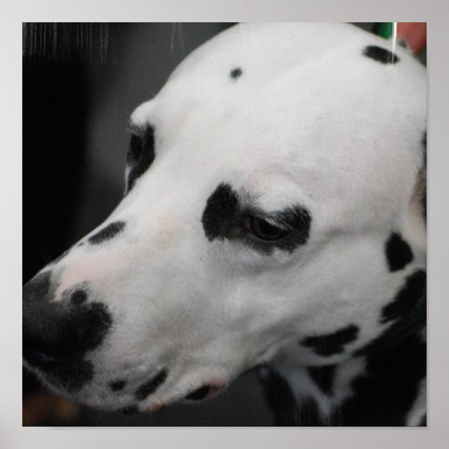 Poster Personalizar produto (Frente)