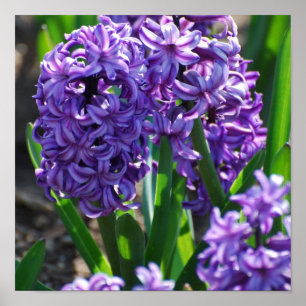 Poster Personalizar produto