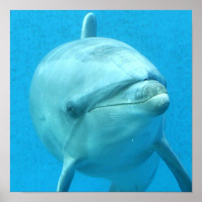 Poster Personalizar produto (Frente)