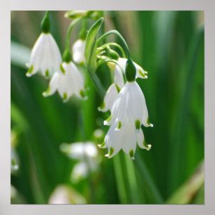 Póster Personalizar produto
