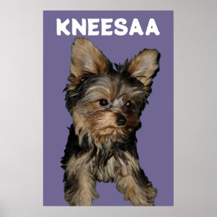 Poster Personalize! LAVANDA Foto & Nome do Pet