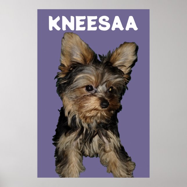 Poster Personalize! LAVANDA Foto & Nome do Pet (Frente)