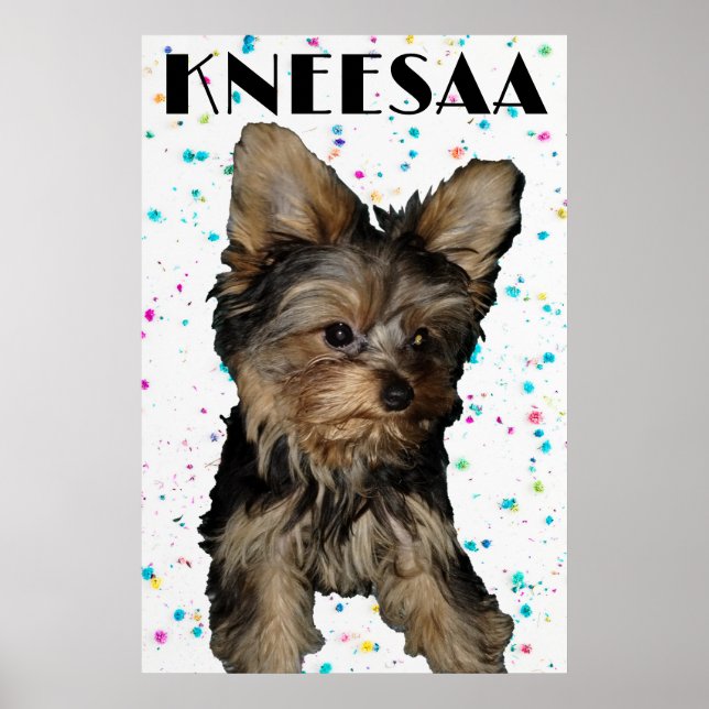 Poster Personalize-o! Foto e Nome de Pet com Pontos Flora (Frente)