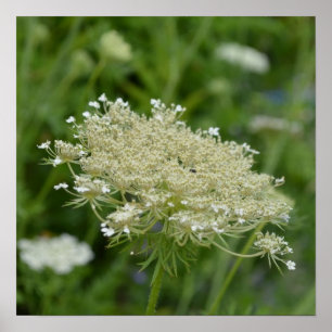 Póster Personalize o produto