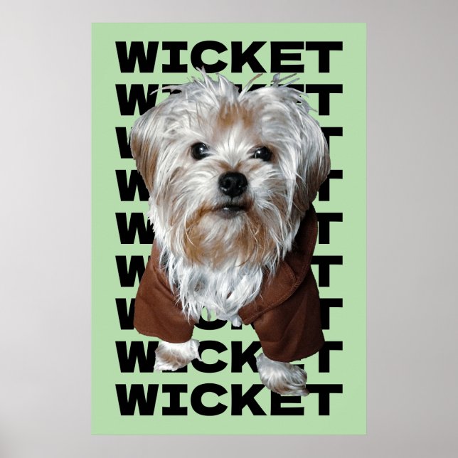 Poster Personalize! Repetição de Foto e Nome de Pet MINT (Frente)