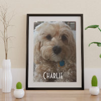Personalize seu cão de família