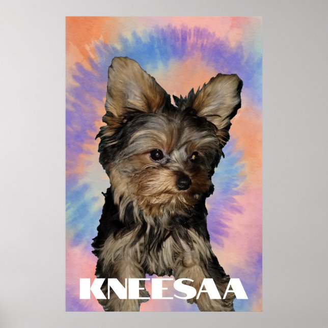 Poster Personalize! Tie Dye Pet Photo & Name (Frente)