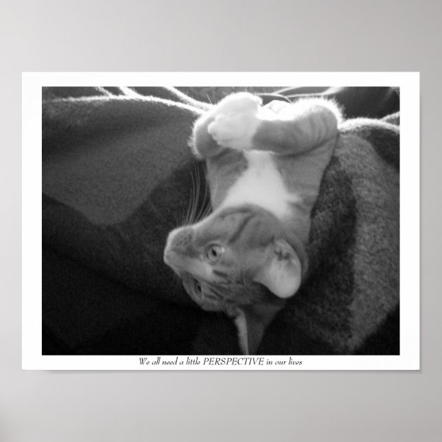 Poster Perspectiva (Frente)