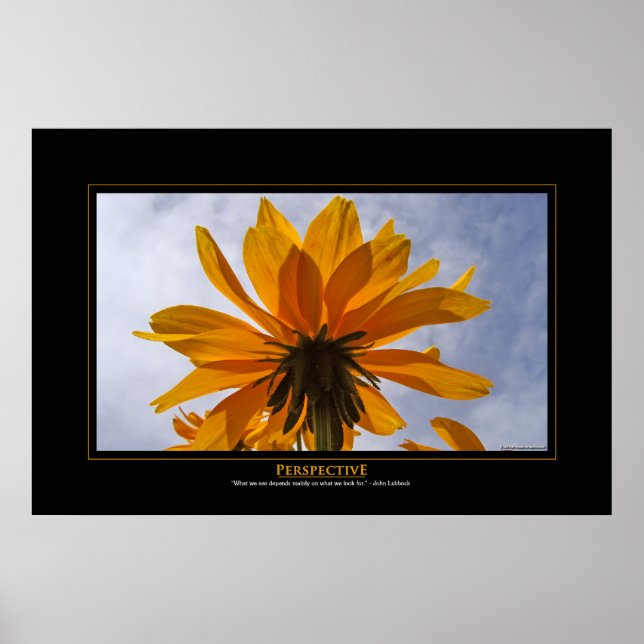 Póster Perspectiva (Frente)