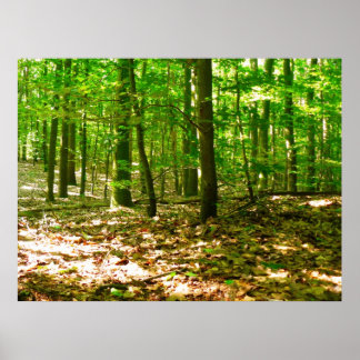 Póster Perspectiva de Cachorro