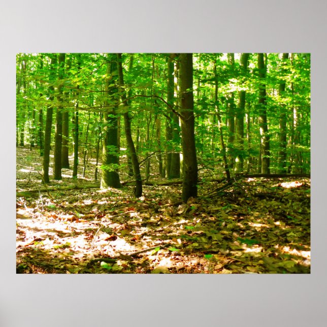 Póster Perspectiva de Cachorro (Frente)