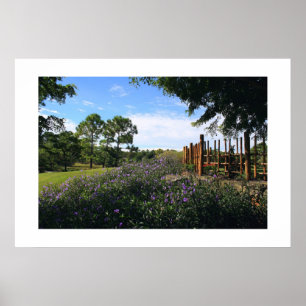 Póster Perspectiva de cerca de bambu