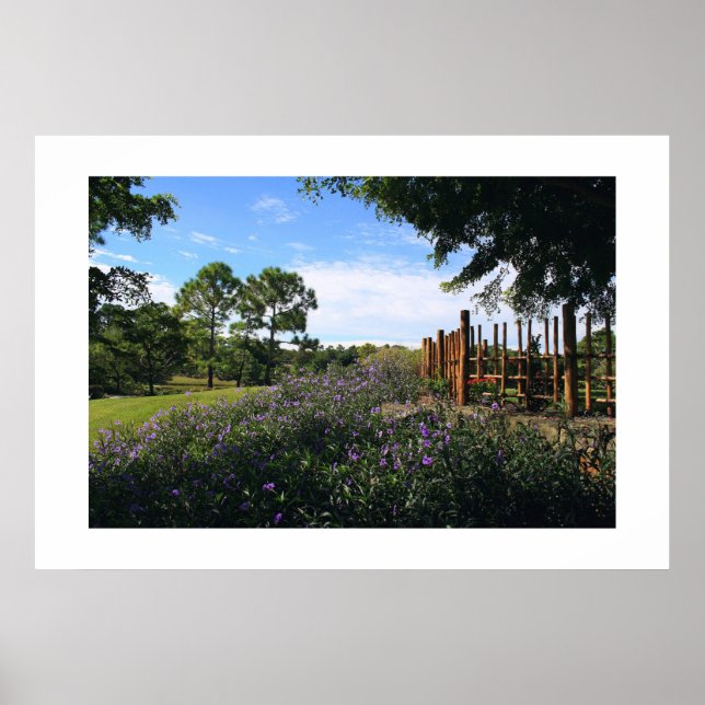 Póster Perspectiva de cerca de bambu (Frente)