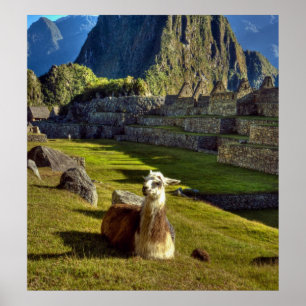Poster Peru, Andes, Andes, Montanhas, Machu Picchu, 2