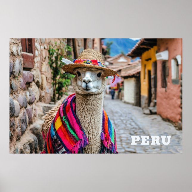 Poster Peru Llama (Frente)