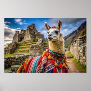 Poster Peru Llama