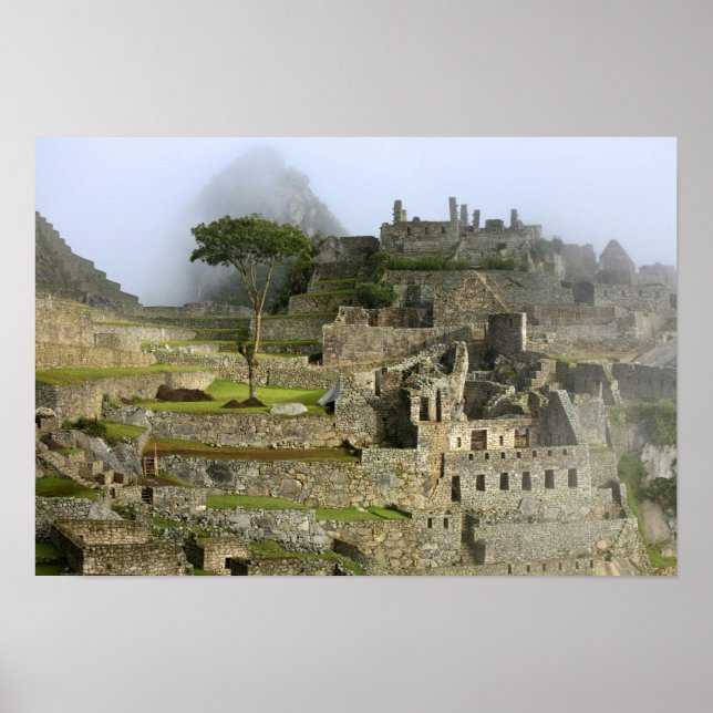 Póster Peru, Machu Picchu. A antiga cidadela de (Frente)