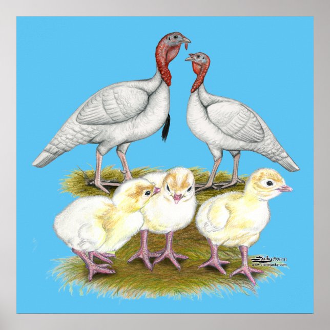 Póster Peru Mini Branco Família (Frente)