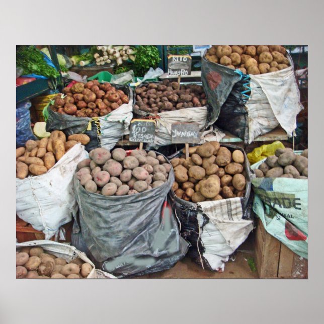 Póster Peru-Terra de Batatas (Frente)