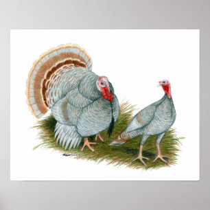 Poster Perus:  Lilac