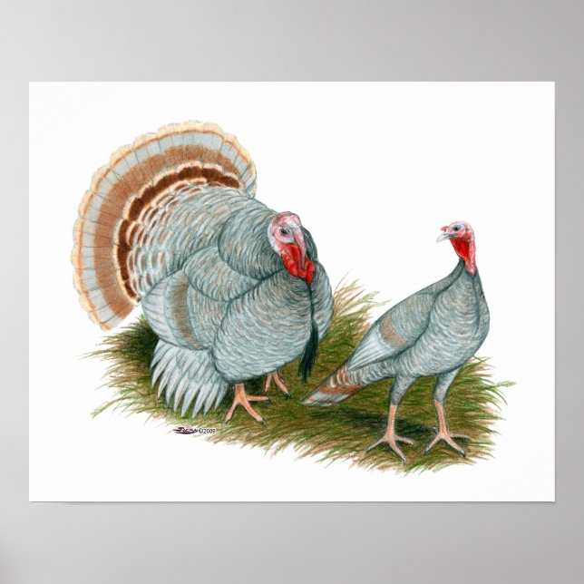 Poster Perus: Lilac (Frente)