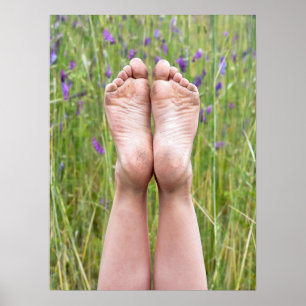 Póster pés desencapados sujos nos wildflowers