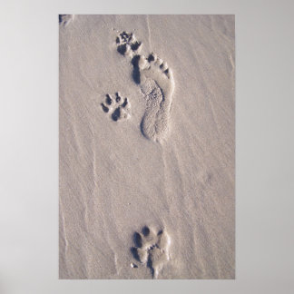 Póster Pés Felizes