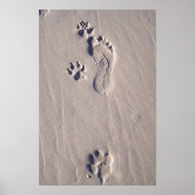 Póster Pés Felizes (Frente)