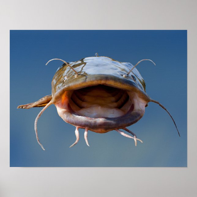 Póster Pesca da Boca Grande (Frente)