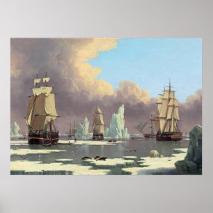 Póster Pesca de baleia norte: "Swan" e "Isabella"