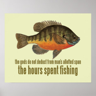 Poster Pesca de Bream