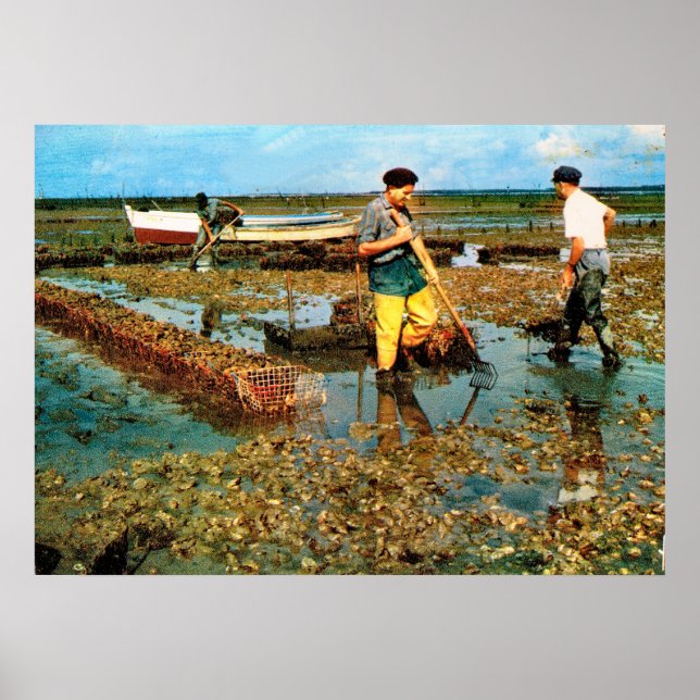 Poster Pesca de ostras em França (Frente)