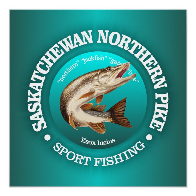 Póster Pesca de Pike Saskatchewan (Frente)