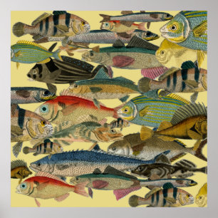 Poster Pesca de profundidade Pesca exótica Tropical