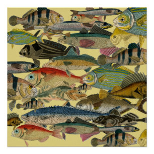 Póster Pesca de profundidade Pesca exótica Tropical