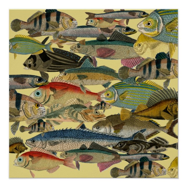 Póster Pesca de profundidade Pesca exótica Tropical (Frente)