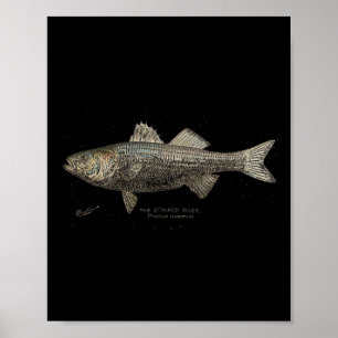 Poster Pesca de Rabiola B