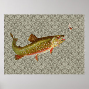 Póster Pesca de truta arco-íris com vintage