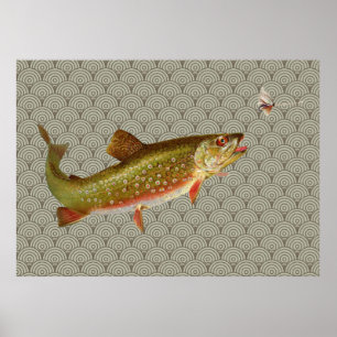 Póster Pesca de truta arco-íris com vintage