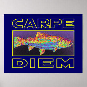 Poster Pesca de trutas