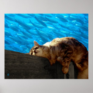 Póster Pesca do Catnap