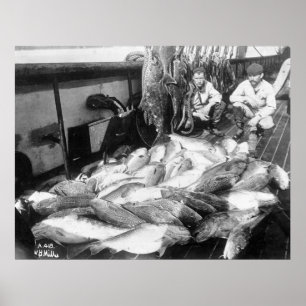 Poster Pesca do vintage, 1900s adiantados