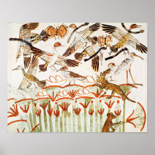 Póster Pesca e fowling nos pântanos