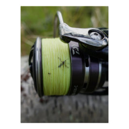 Póster Pesca karma poster